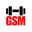 Gym Supply Malta logo